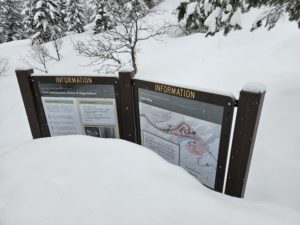 Routt National Forest deep snow