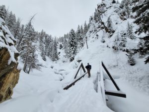 Routt National Forest icy waterfalls