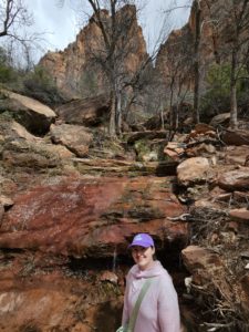 Zion National Park waterfall