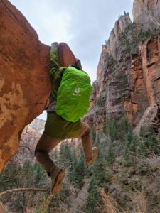 Zion National Park hanging out